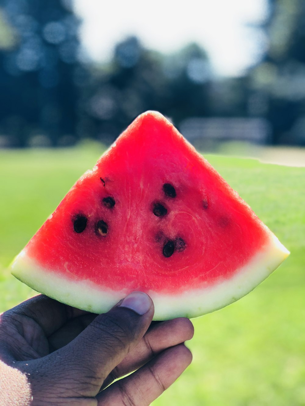 sliced watermelon fruit