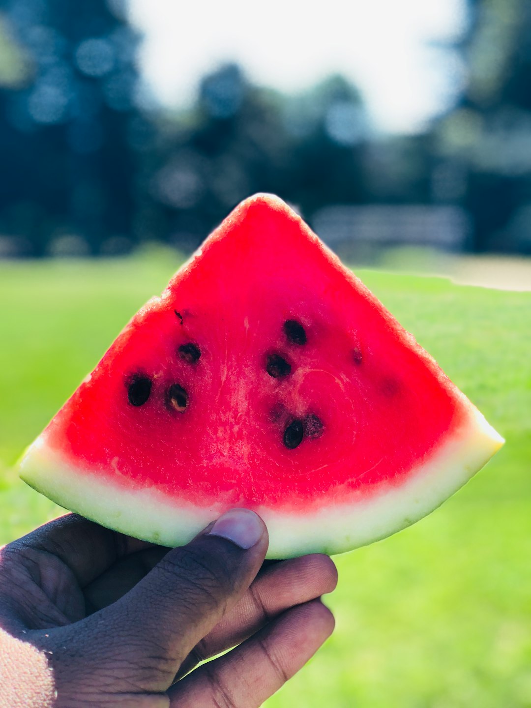 sliced watermelon fruit photo – Free Mi Image on Unsplash