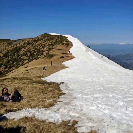 people walking on cliff during daytime in Dragomiresti Romania