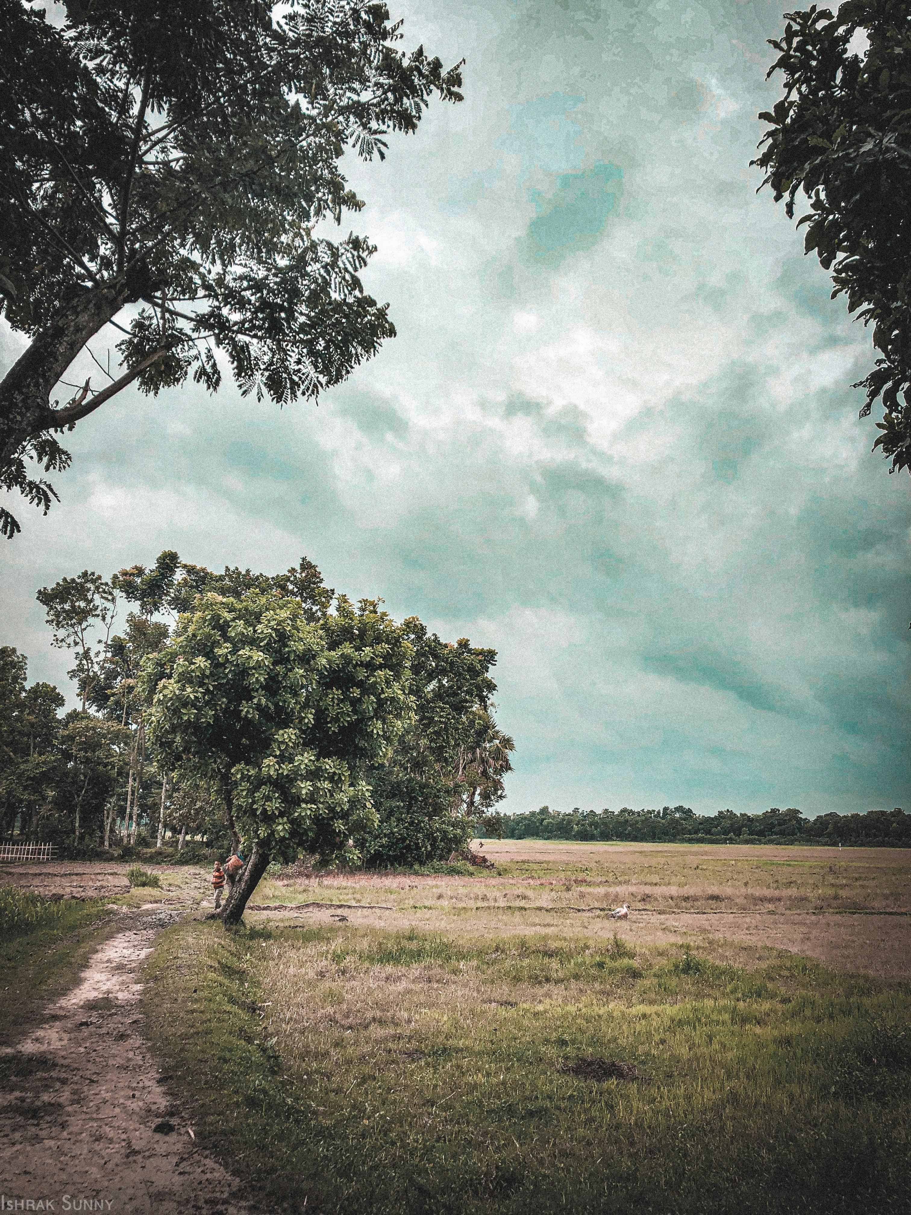 Photo by ishrak_sunny