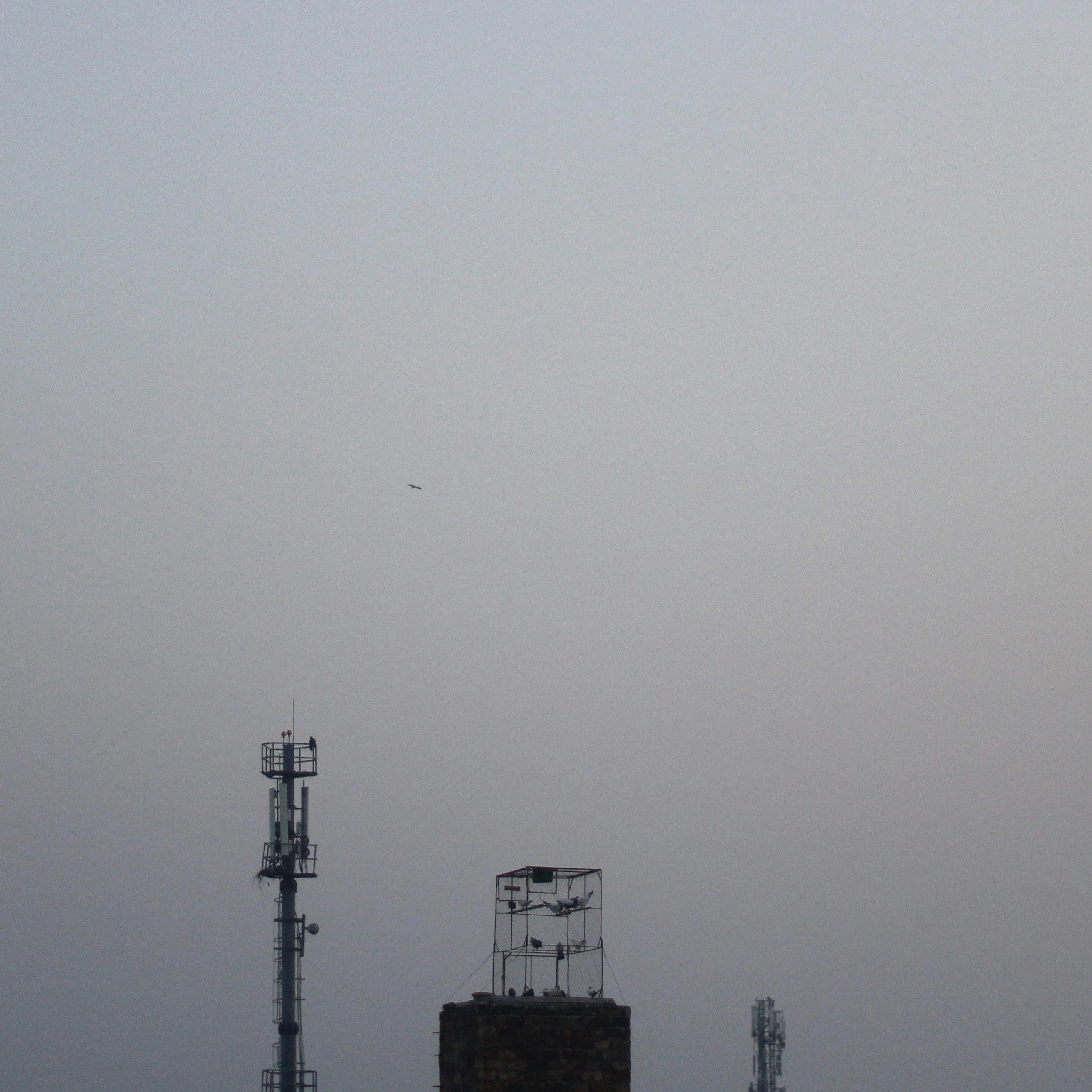 Photo by fahadachaudhry