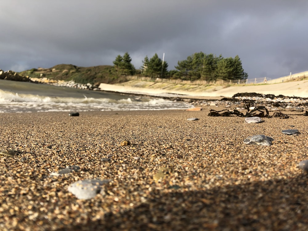 landscape photography of shore