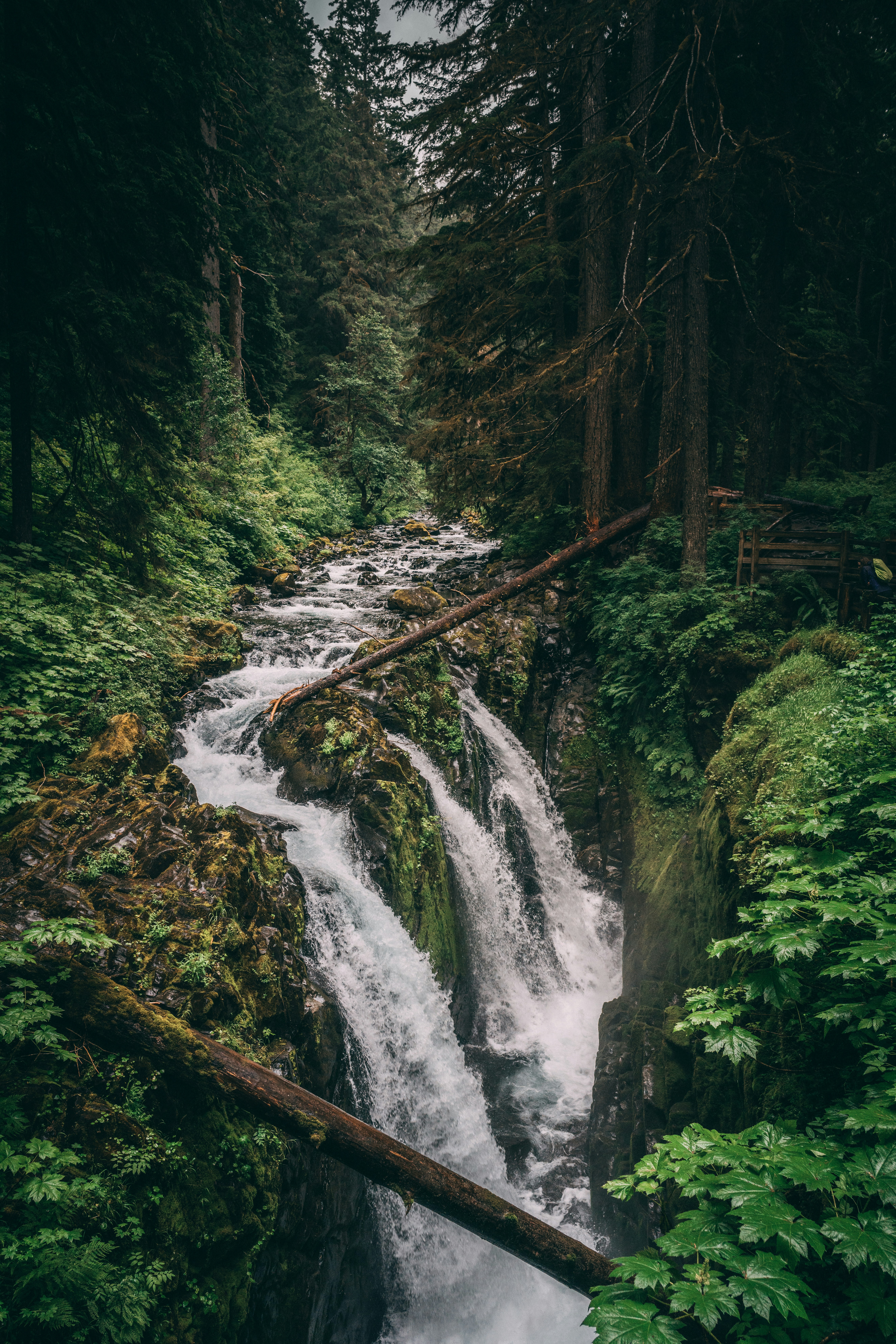 Photo by andrewjdutton