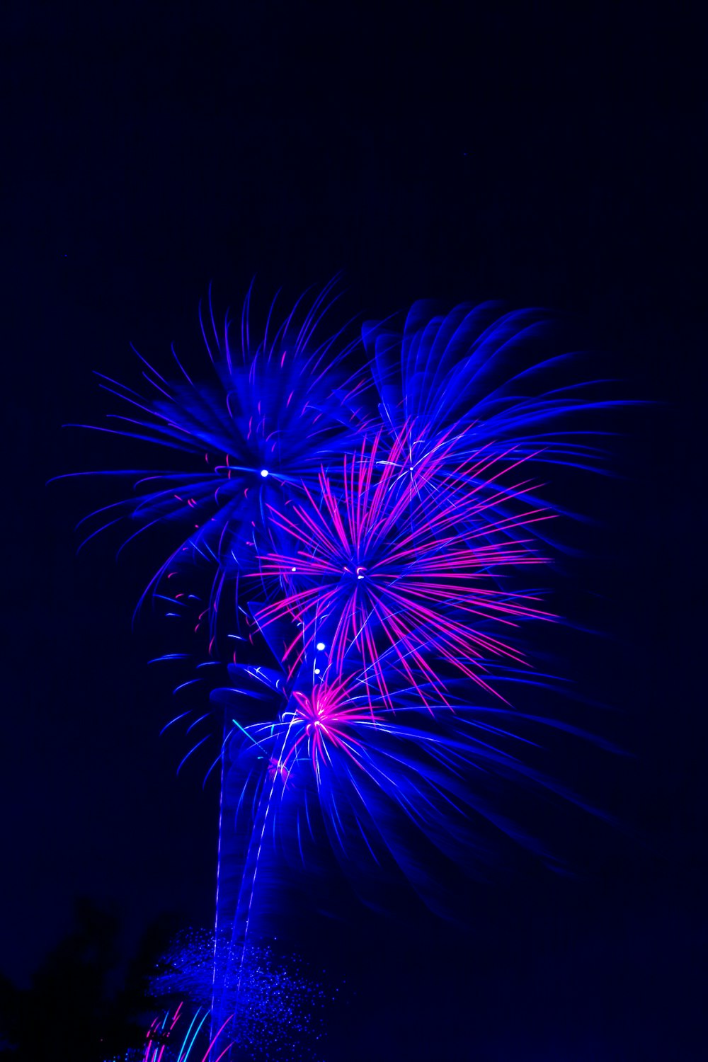 blue and pink fireworks