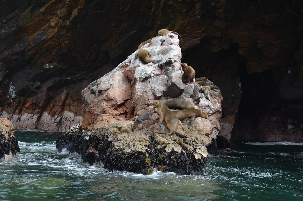 rocky cliffs by the sea