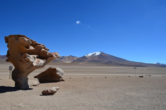brown stone in Árbol de Piedra Bolivia