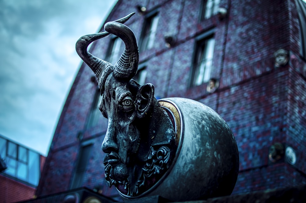 gargoyle photography