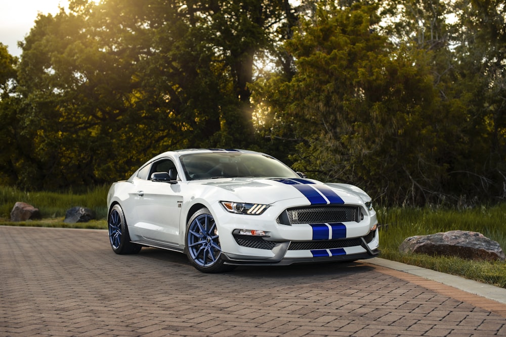 white and blue coupe