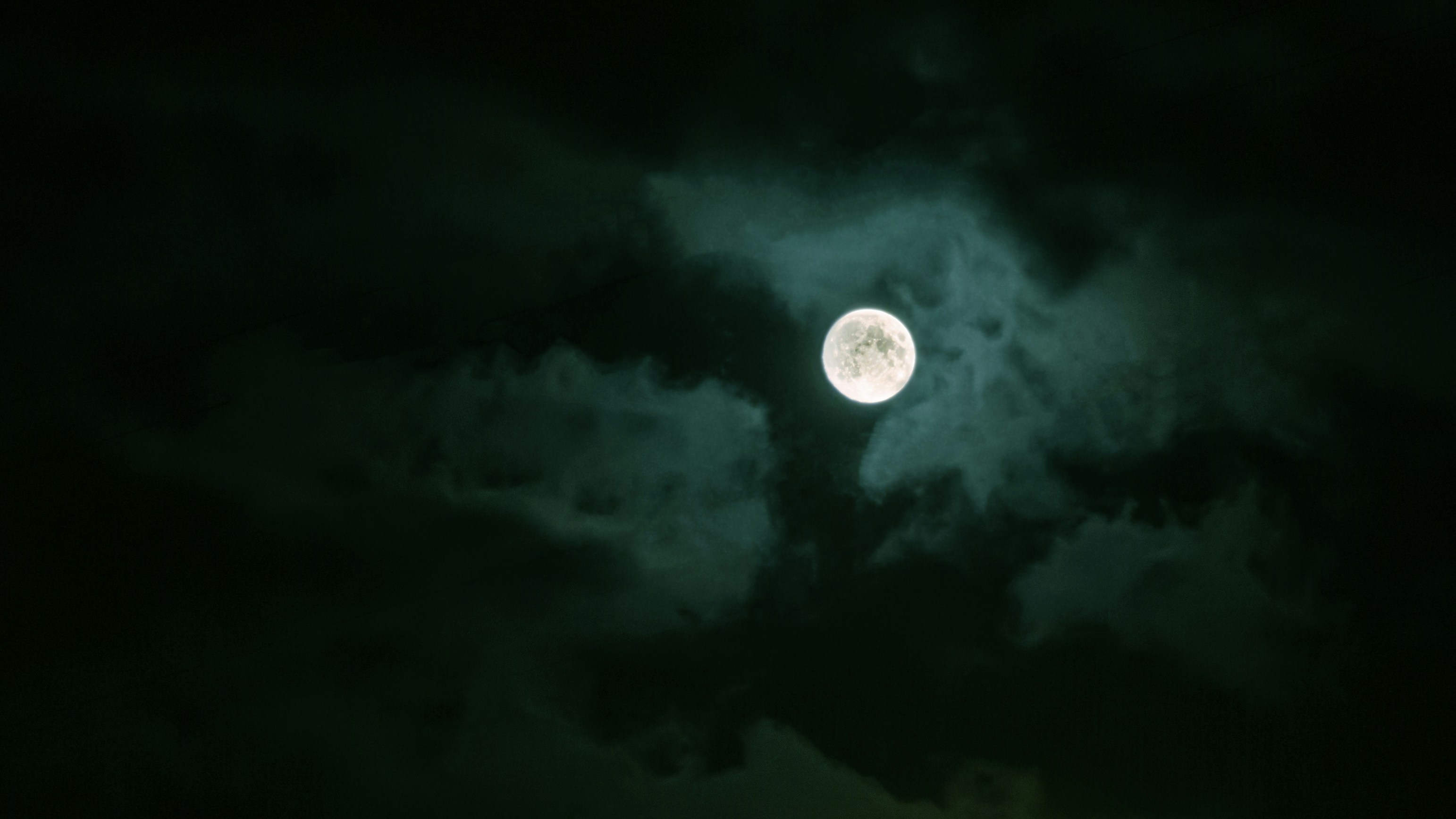 Photo by daniil_fridrikh