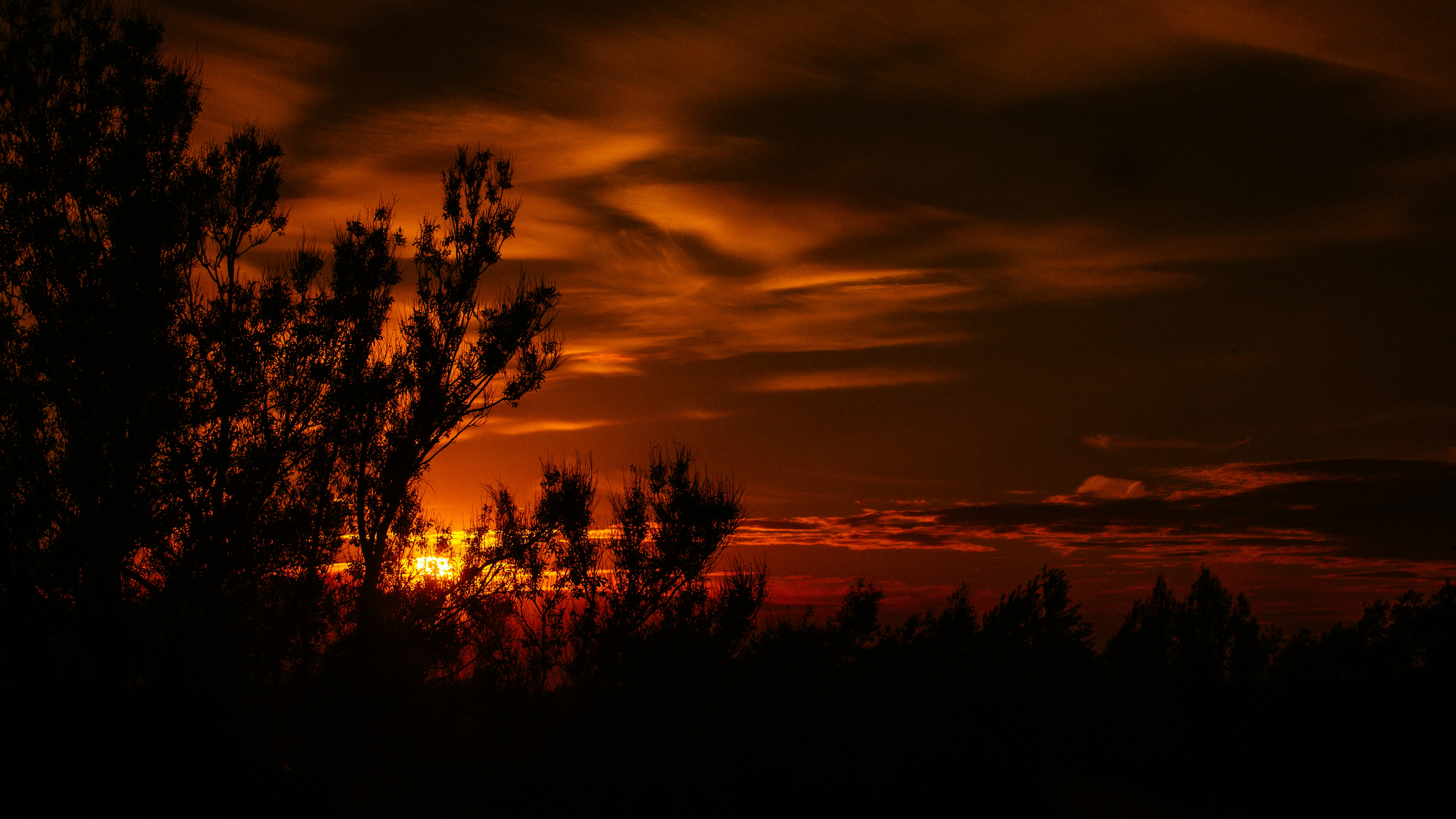 Photo by daniil_fridrikh