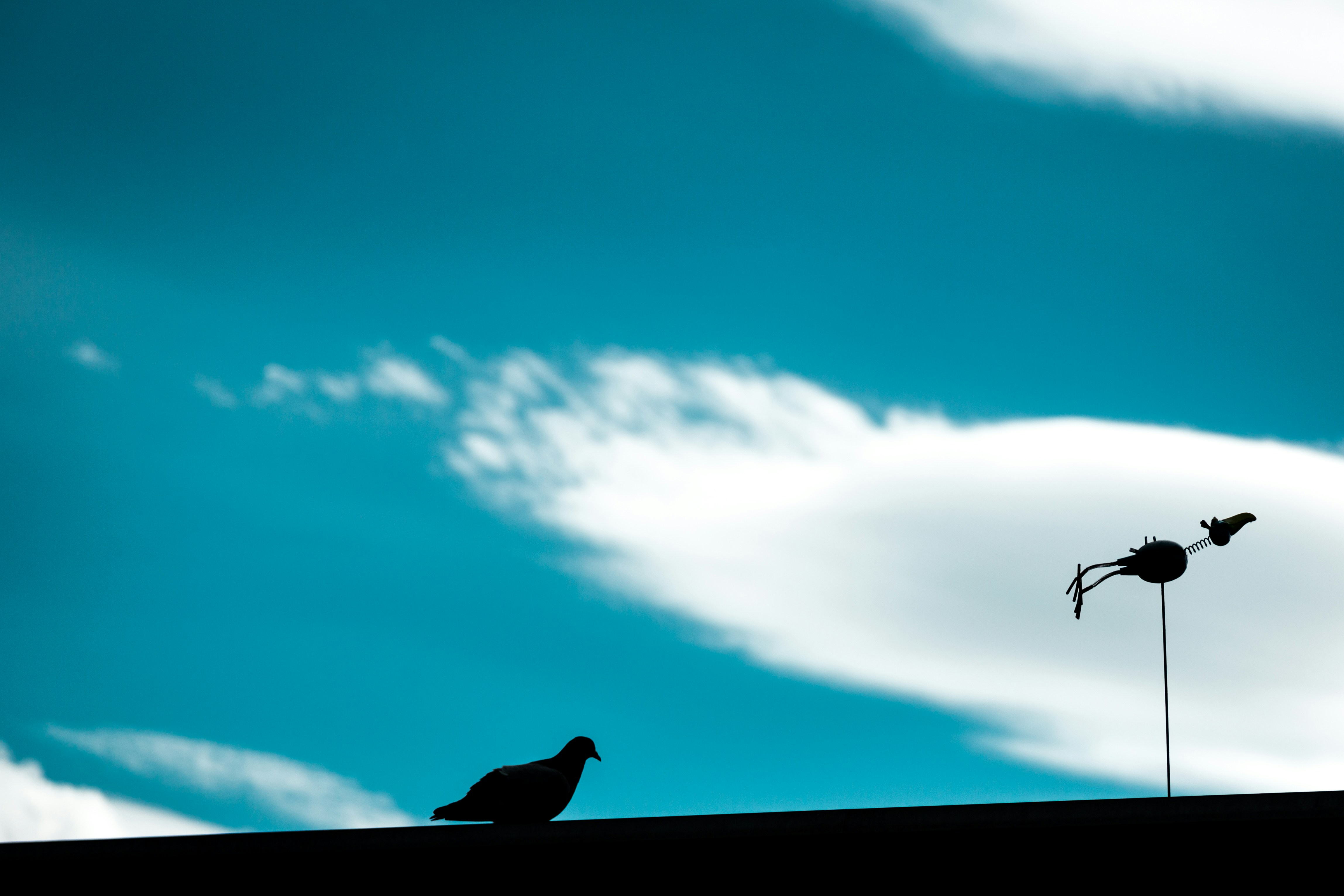 Photo by jeffchen703