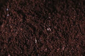 brown soil close-up photography