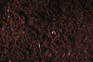 brown soil close-up photography
