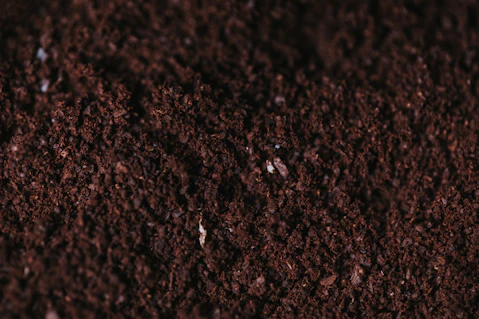 Dark brown rich soil