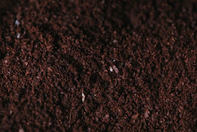 brown soil close-up photography