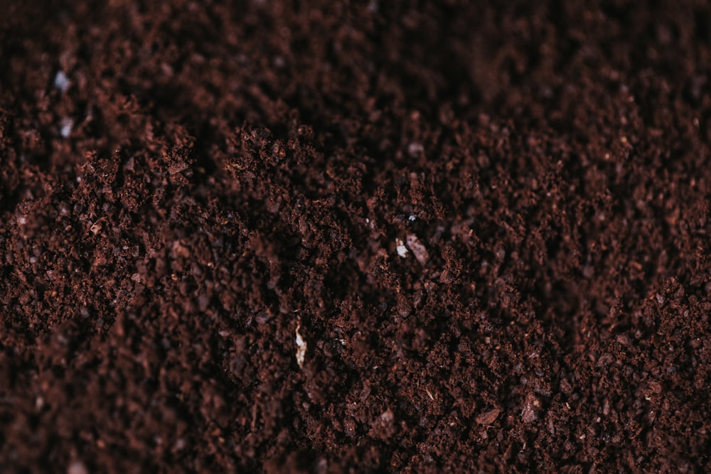brown soil close-up photography