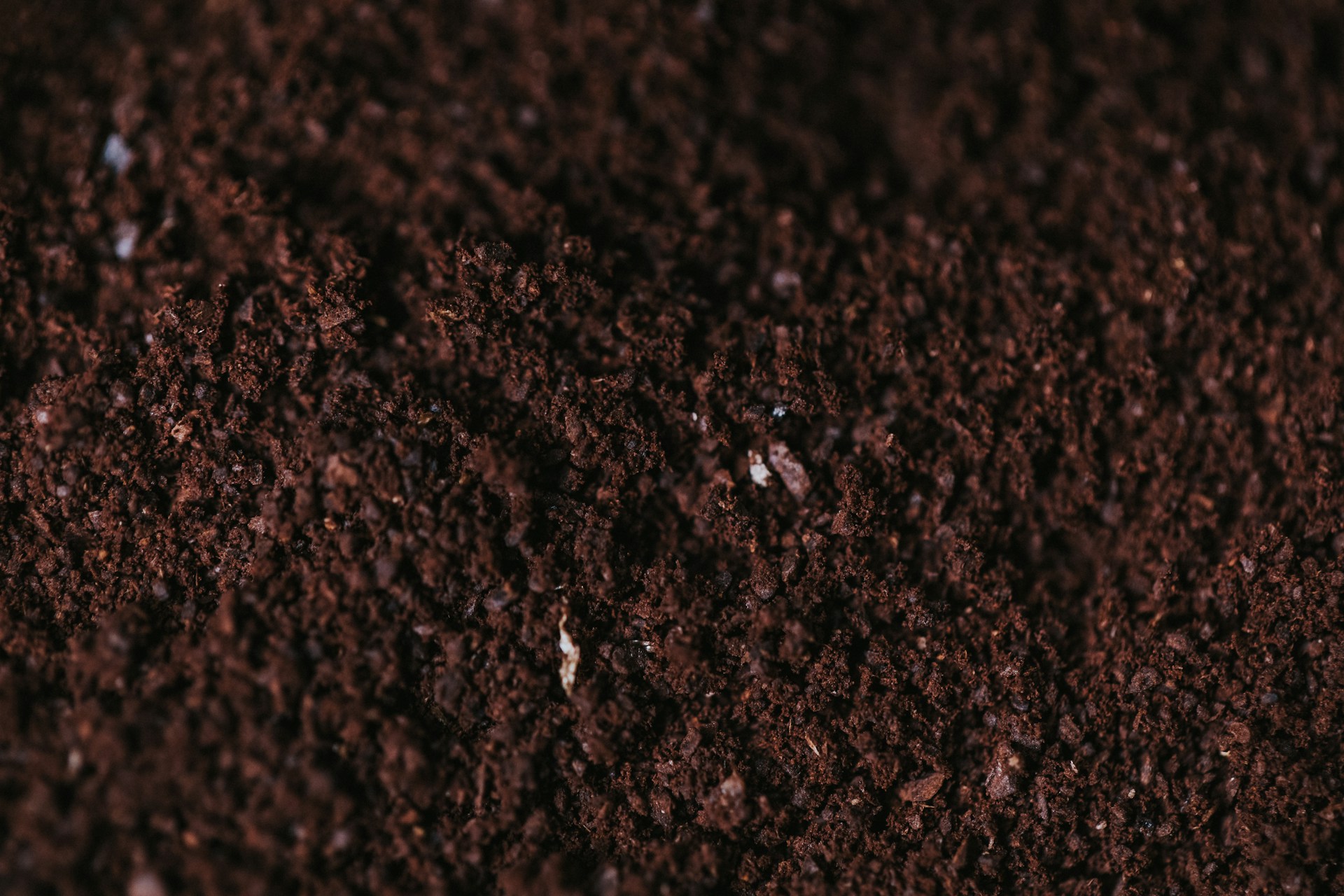 brown soil close-up photography