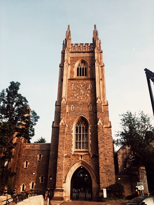 brown clock tower in Soldiers' Tower Canada