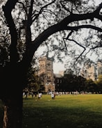 Community members planting trees around the sports club grounds on a sunny day