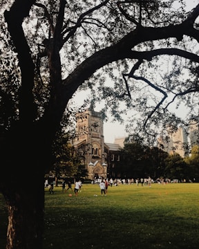 Community members planting trees around the sports club grounds on a sunny day