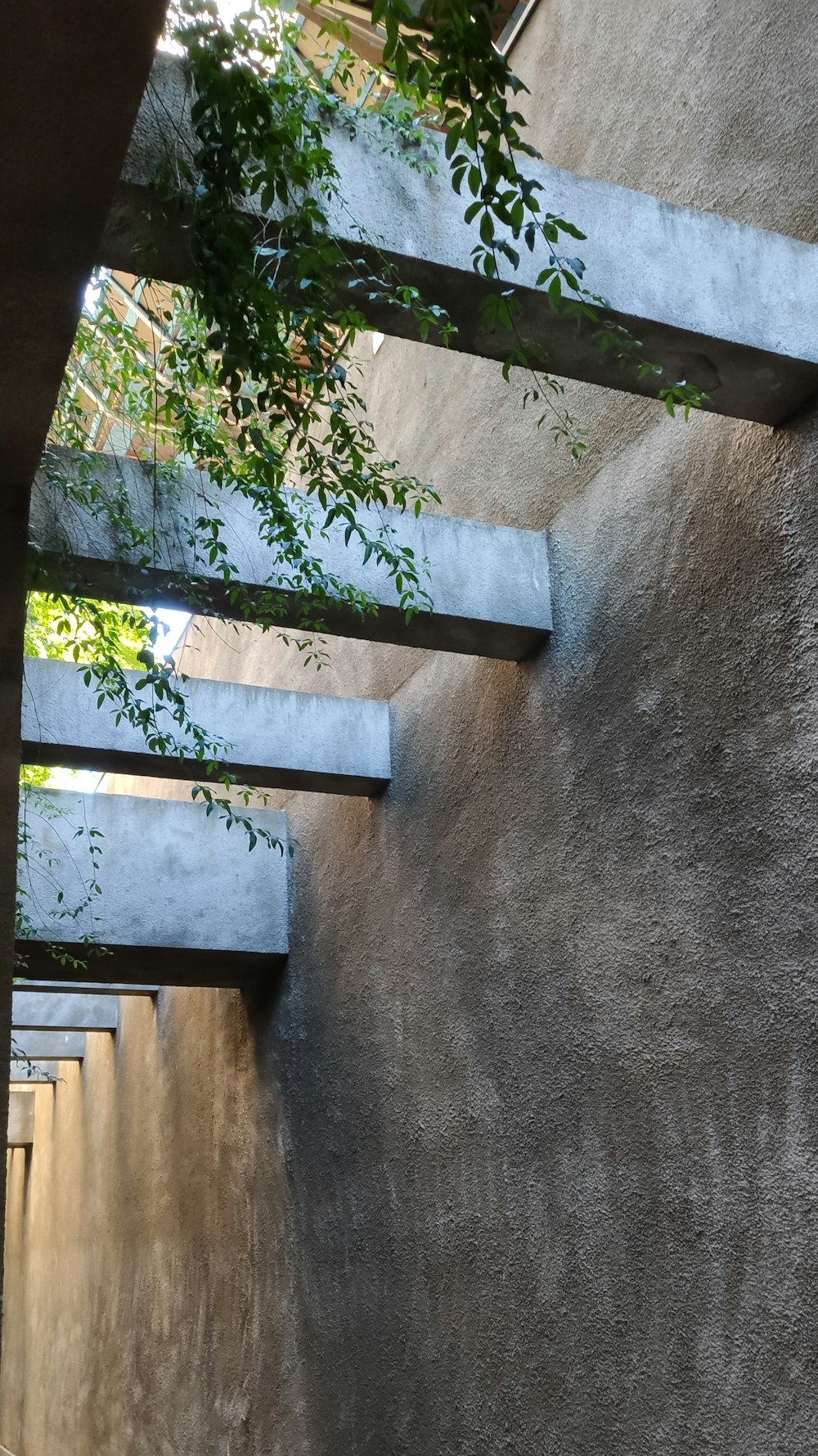 a concrete wall with a plant growing on top of it