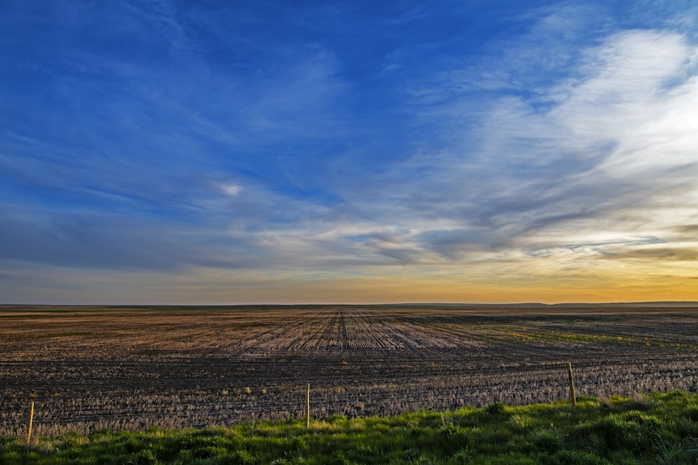 brown and green field under blue and white sky