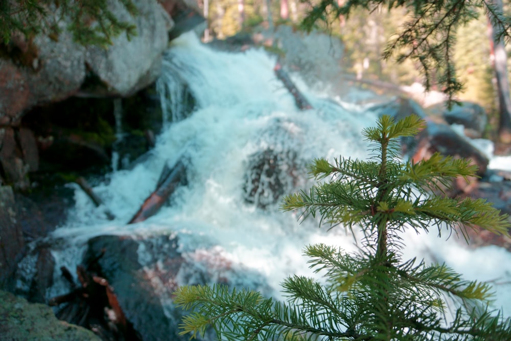 river rapids