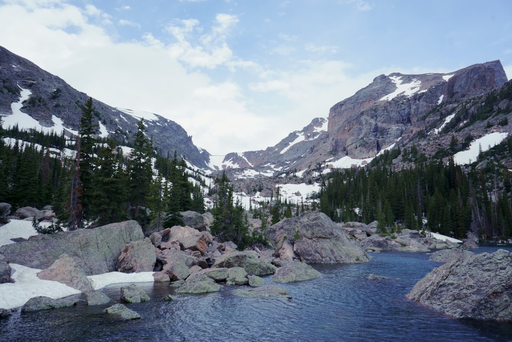 river in forest near mountain