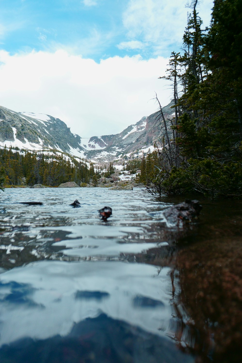 iced river near forest