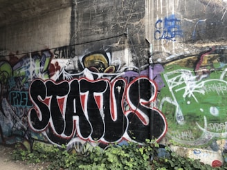 A concrete wall covered with vibrant graffiti art. The focal point is the word 'STATUS' painted in bold, black letters outlined in white and red. Surrounding the main graffiti are various abstract shapes and colors, with greens, purples, and blues prominently featured. The wall has a weathered appearance with some areas of paint drips and cracks.