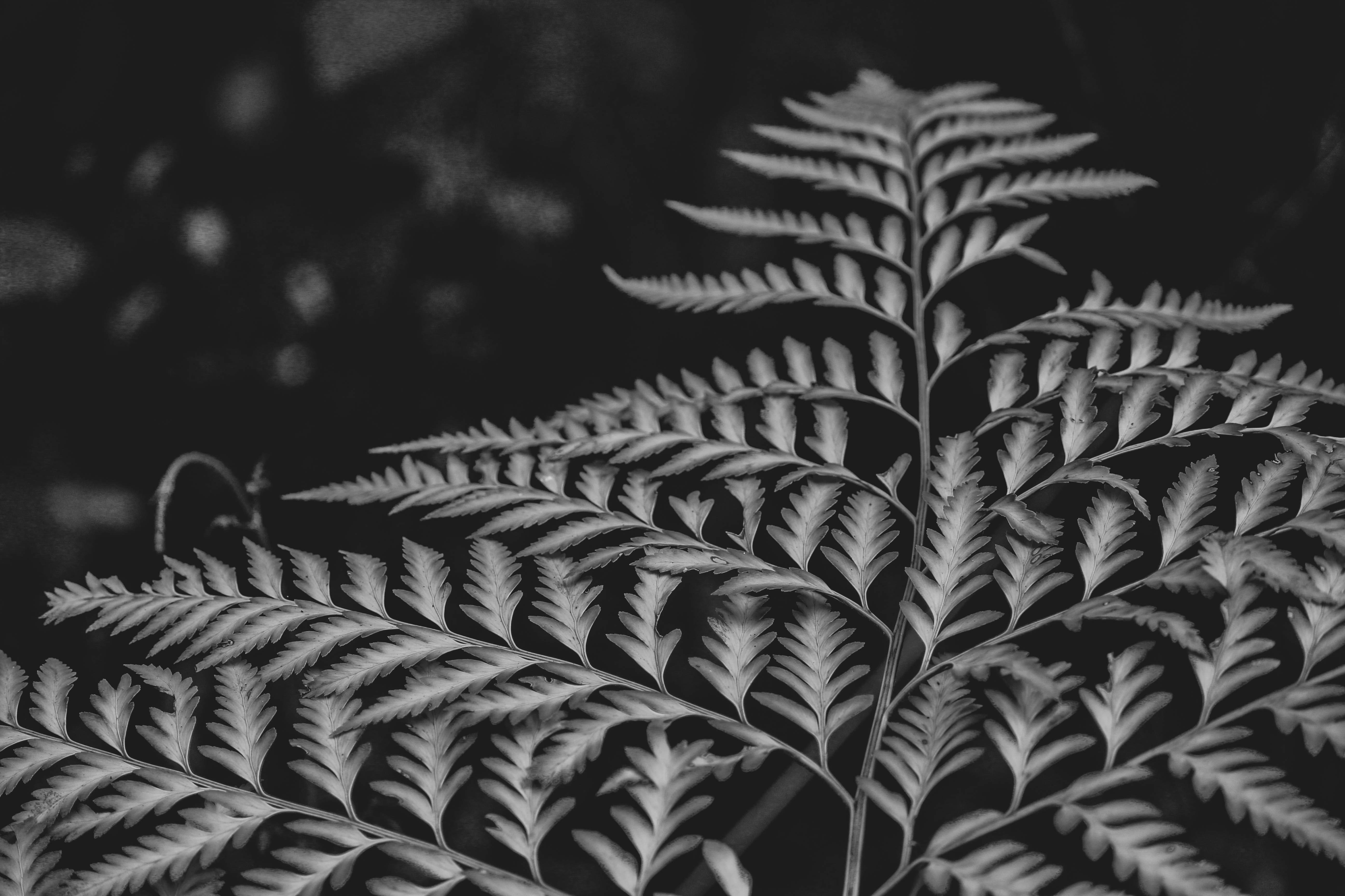 Photo by amandakariella