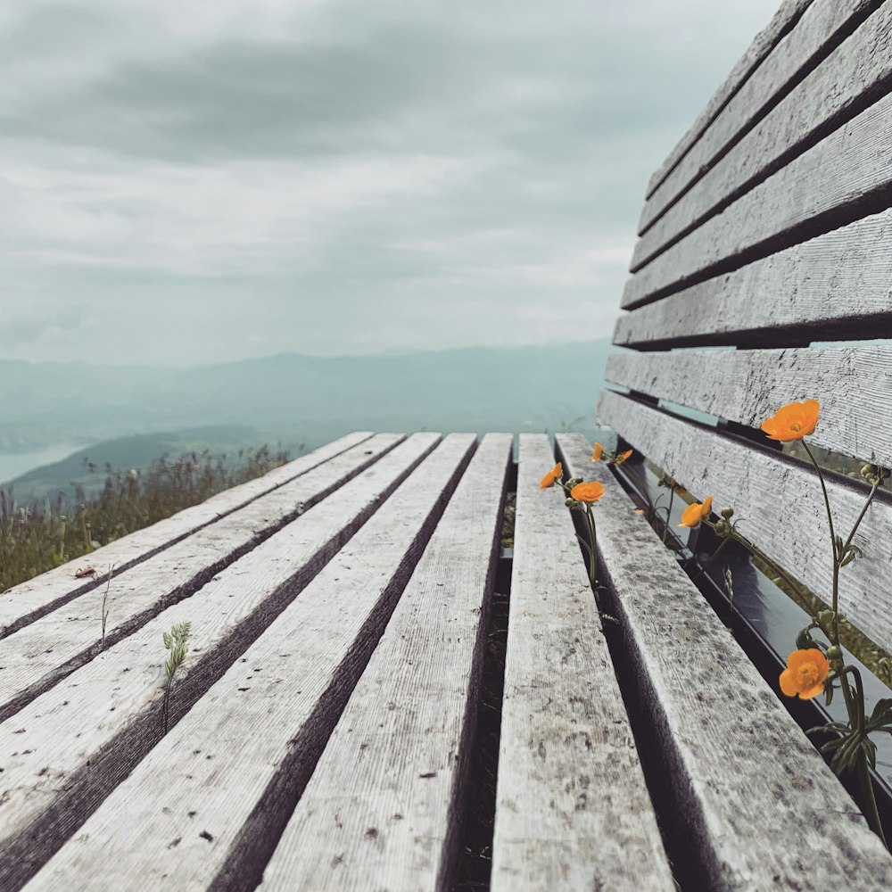 flowers on bench