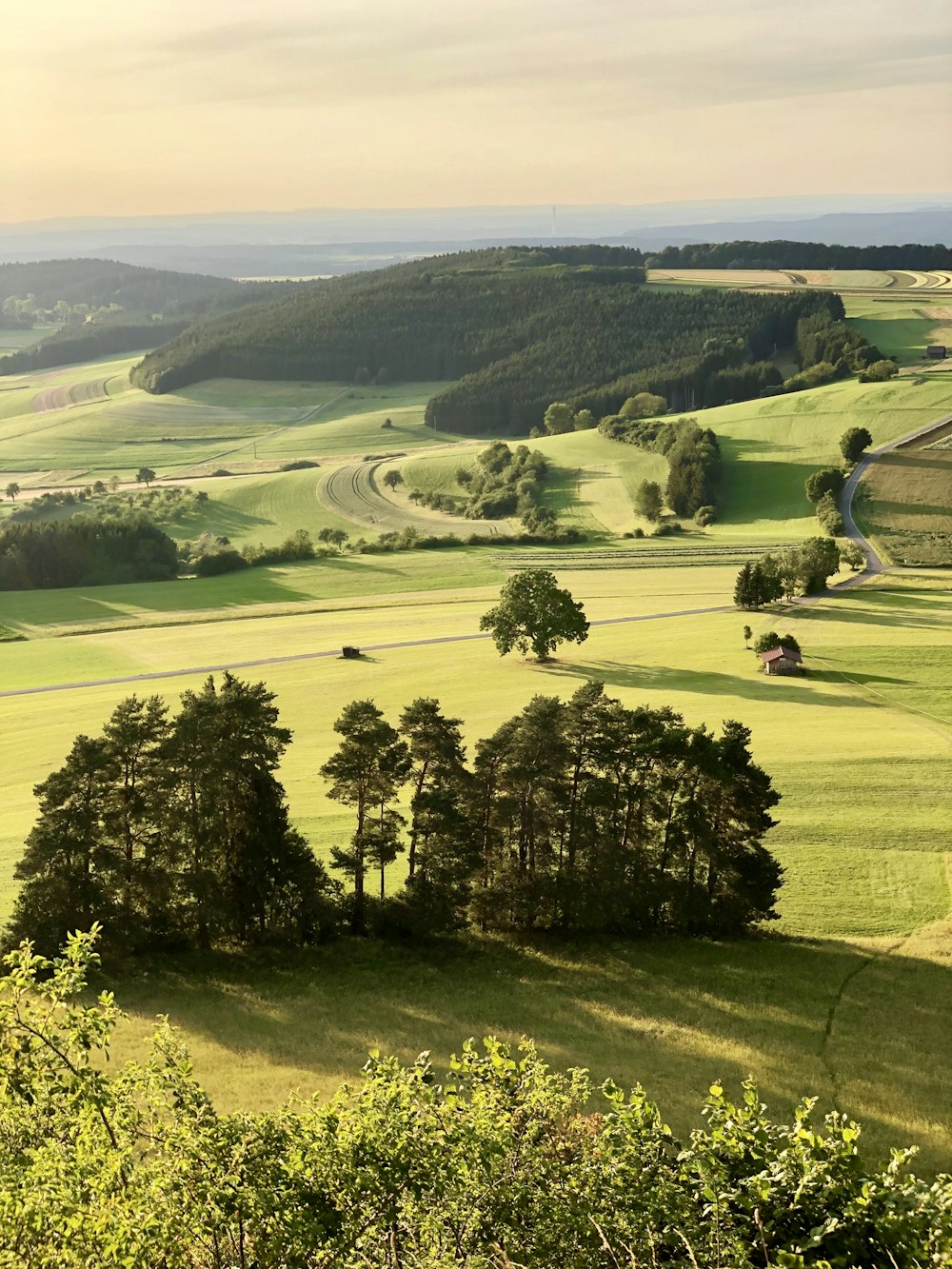 green field and trees at daytime