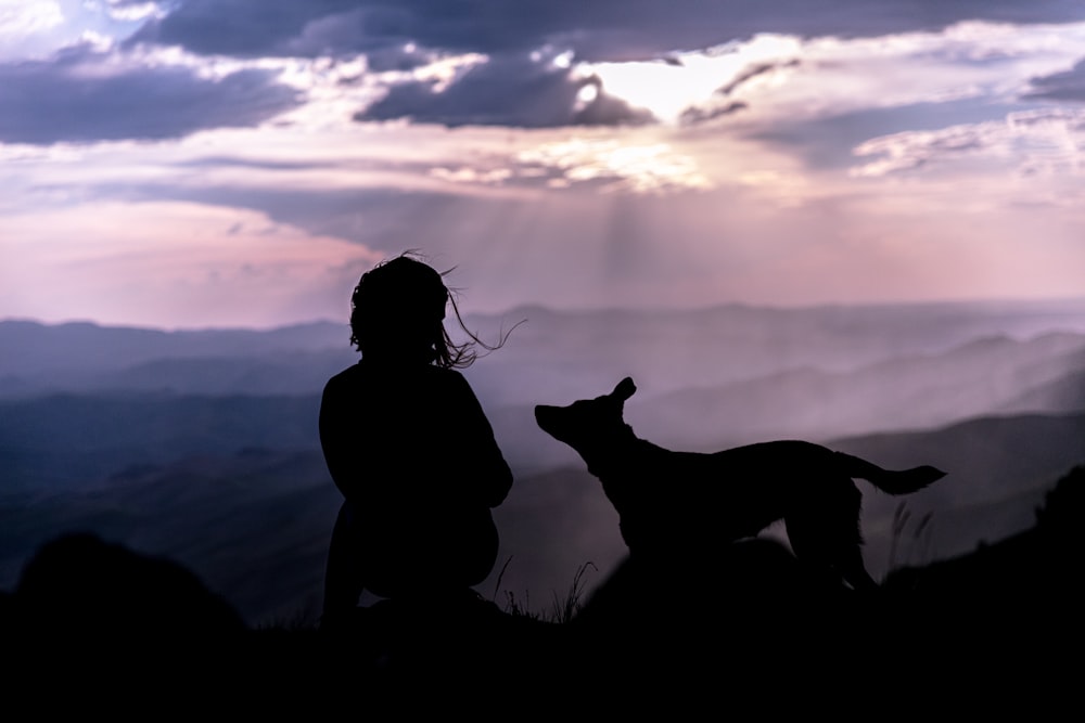 silhouette of person beside dog