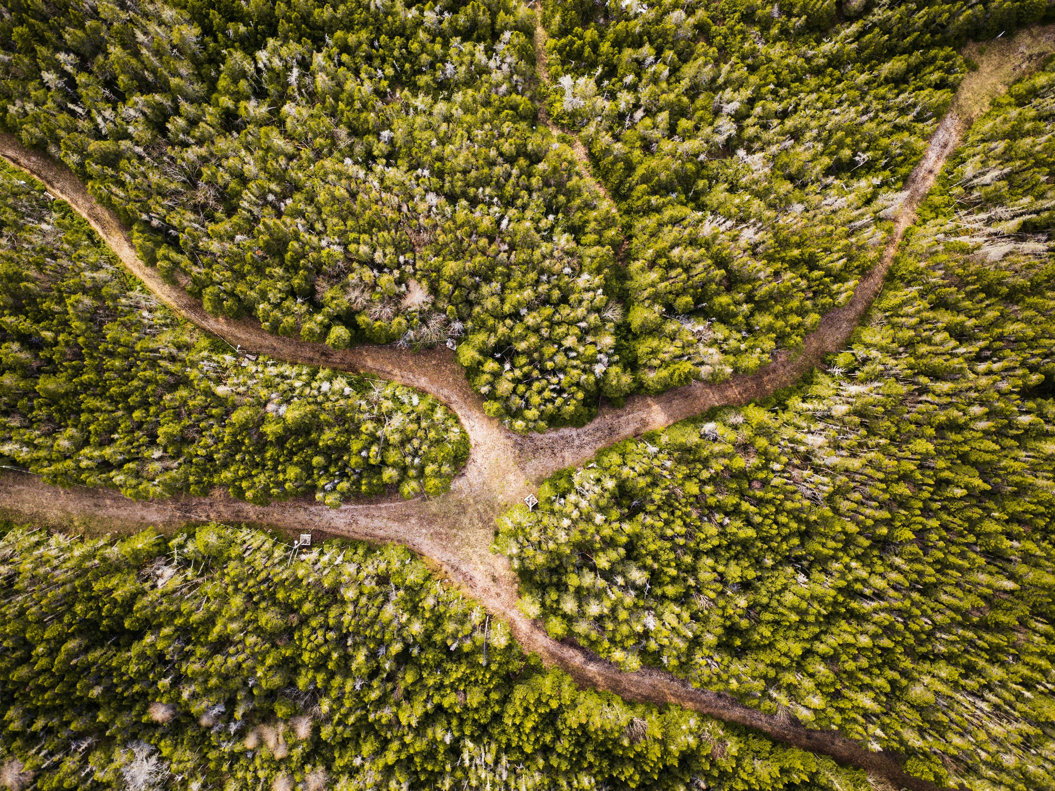 Aerial photography of intersecting - null wallpaper in 3992x2992 resolution