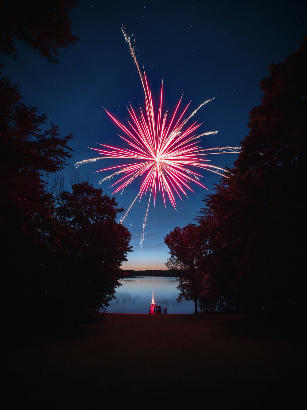 feux d’artifice roses