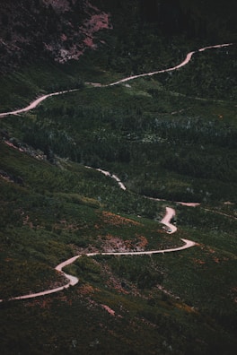 A winding mountain path through the Atlas Mountains surrounded by lush greenery.