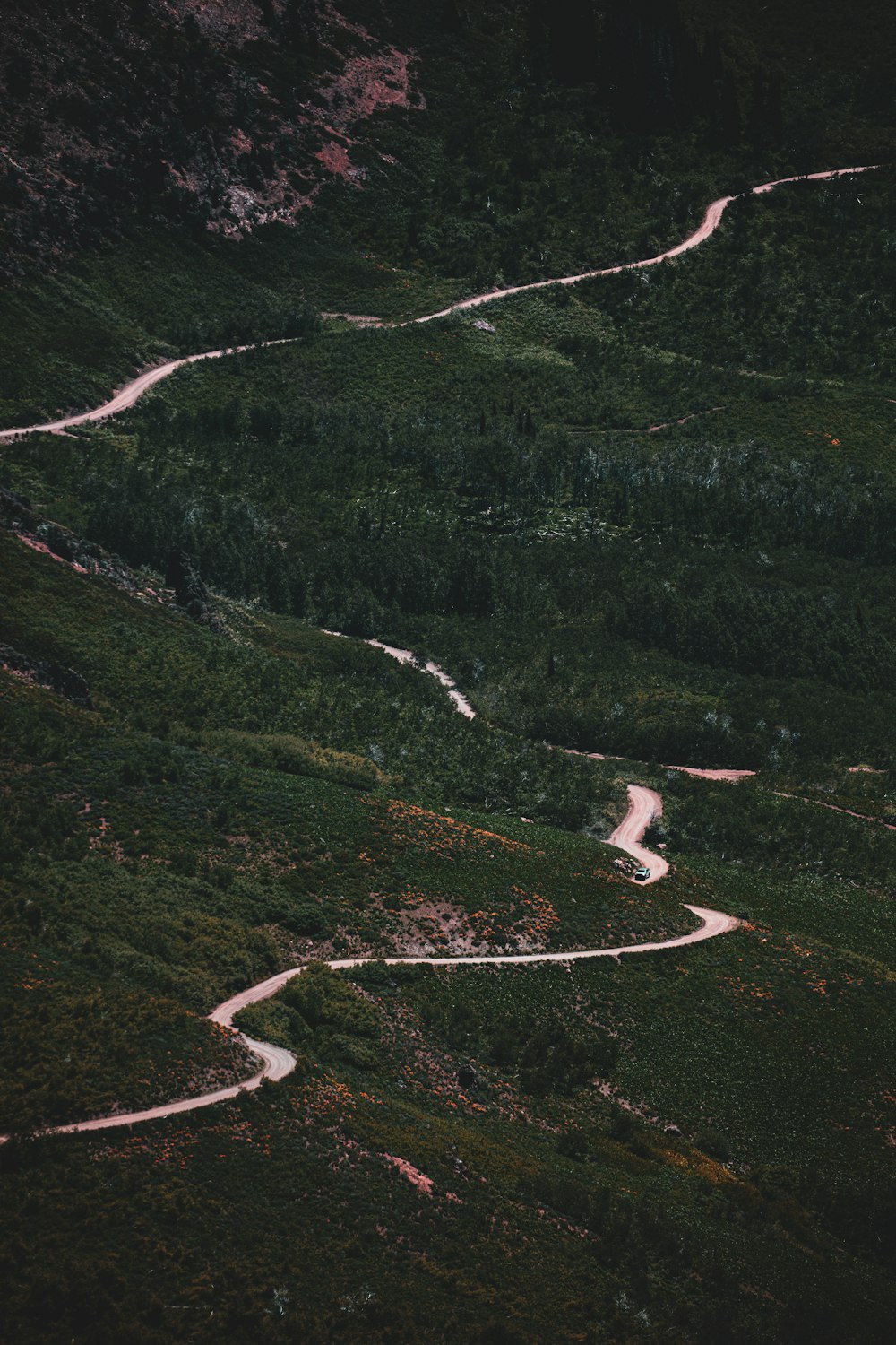 winding road in green mountain