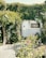A white caravan is covered in lush, green ivy and surrounded by flowering plants. Tall pink and white roses bloom in the foreground, while a gravel path leads up to the caravan door. Sunlight filters through the leaves, creating a serene, natural setting.