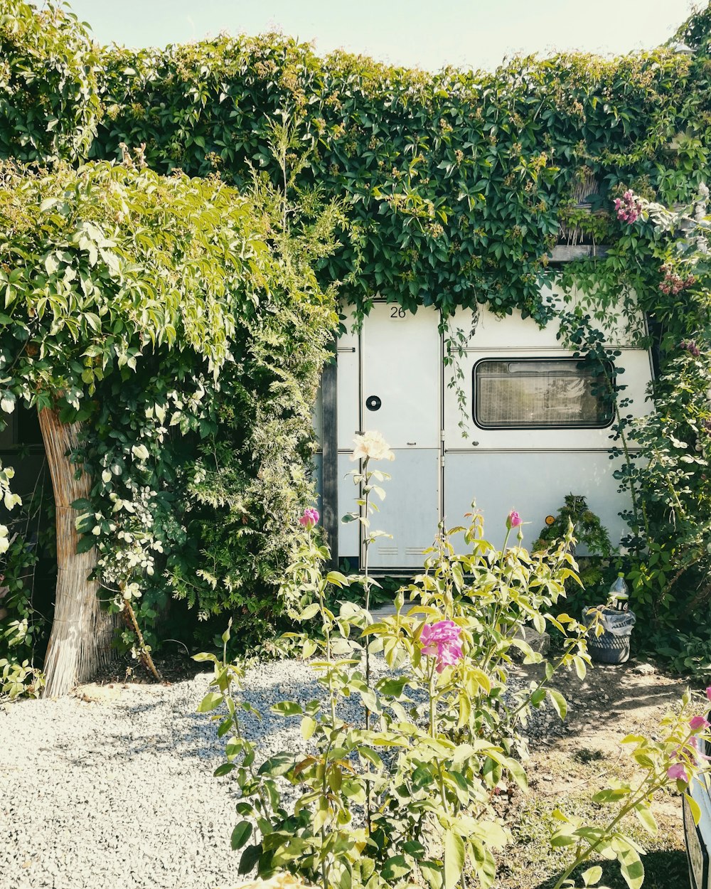 white trailer truck surrounded by green plants