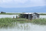 A small corrugated metal shack stands on a patch of flooded land surrounded by water and plants. Three children are seen standing near the shack. In the background, distant hills and cloudy skies are visible.