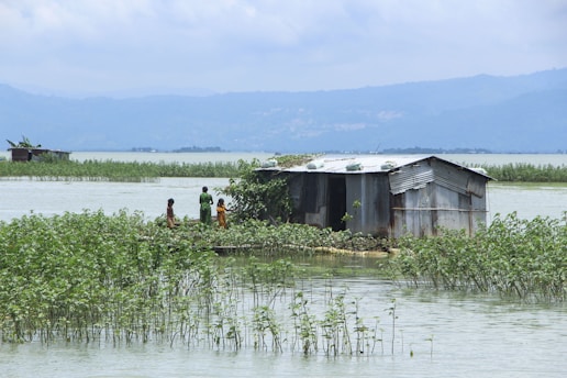 A small corrugated metal shack stands on a patch of flooded land surrounded by water and plants. Three children are seen standing near the shack. In the background, distant hills and cloudy skies are visible.