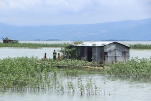 A small corrugated metal shack stands on a patch of flooded land surrounded by water and plants. Three children are seen standing near the shack. In the background, distant hills and cloudy skies are visible.