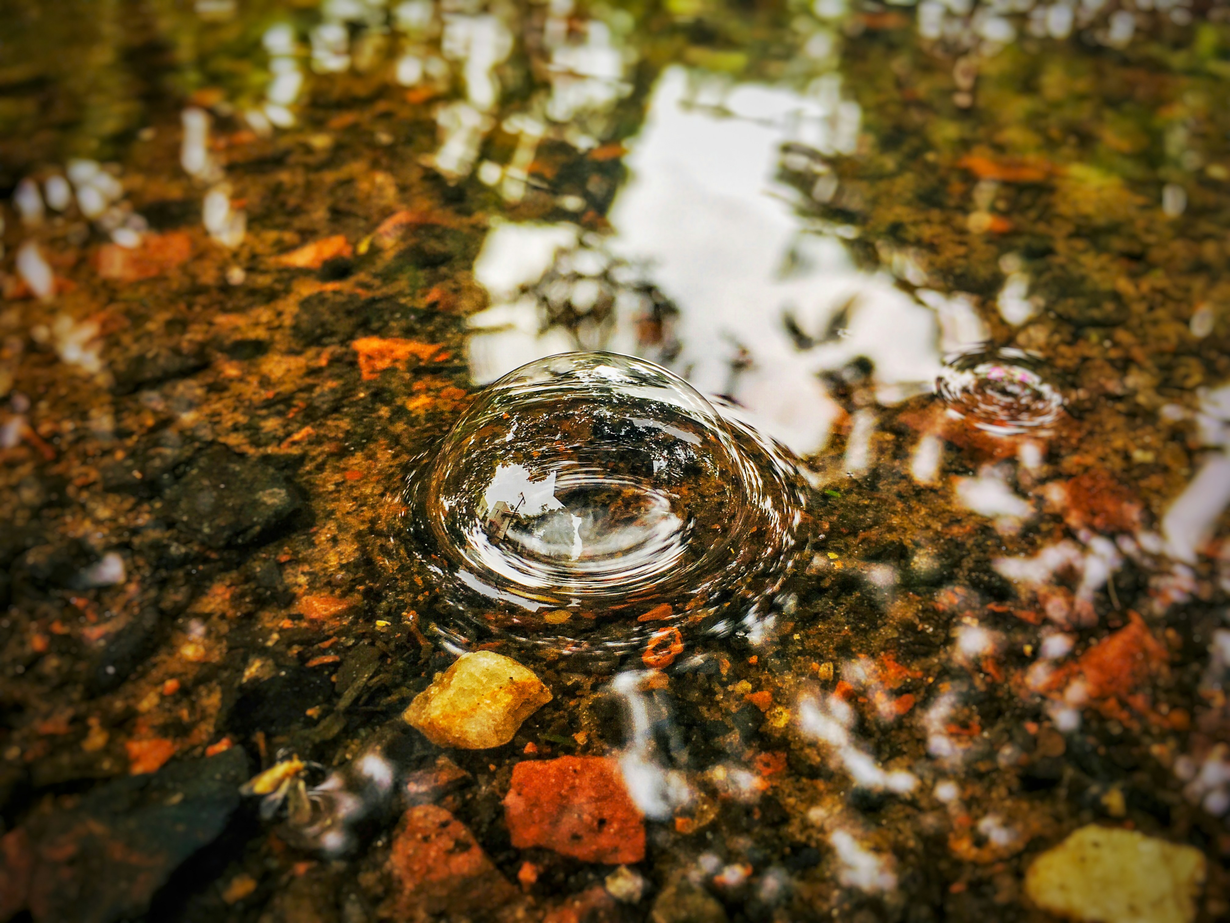 Photo by prashasti_18