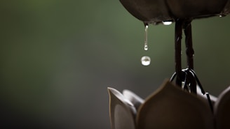 A beautiful rain chain cascading down.
