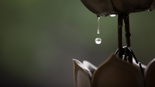 A beautiful rain chain cascading down.