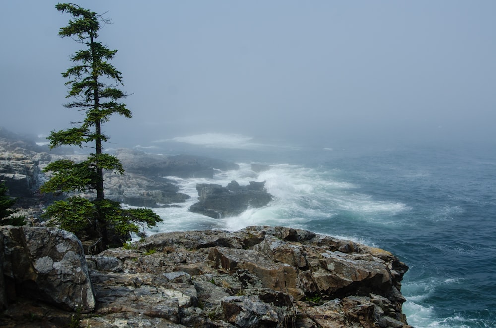 Acantilado y vista del océano durante el tiempo de niebla