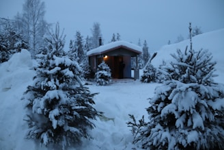 A cozy winter scene with snow-covered trees and a warm cabin in the background.
