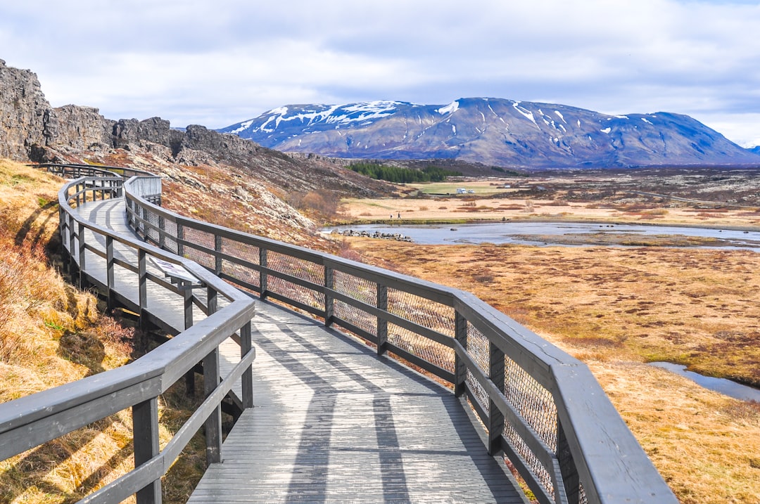 photography of gray wooden walkway near mountain during daytime