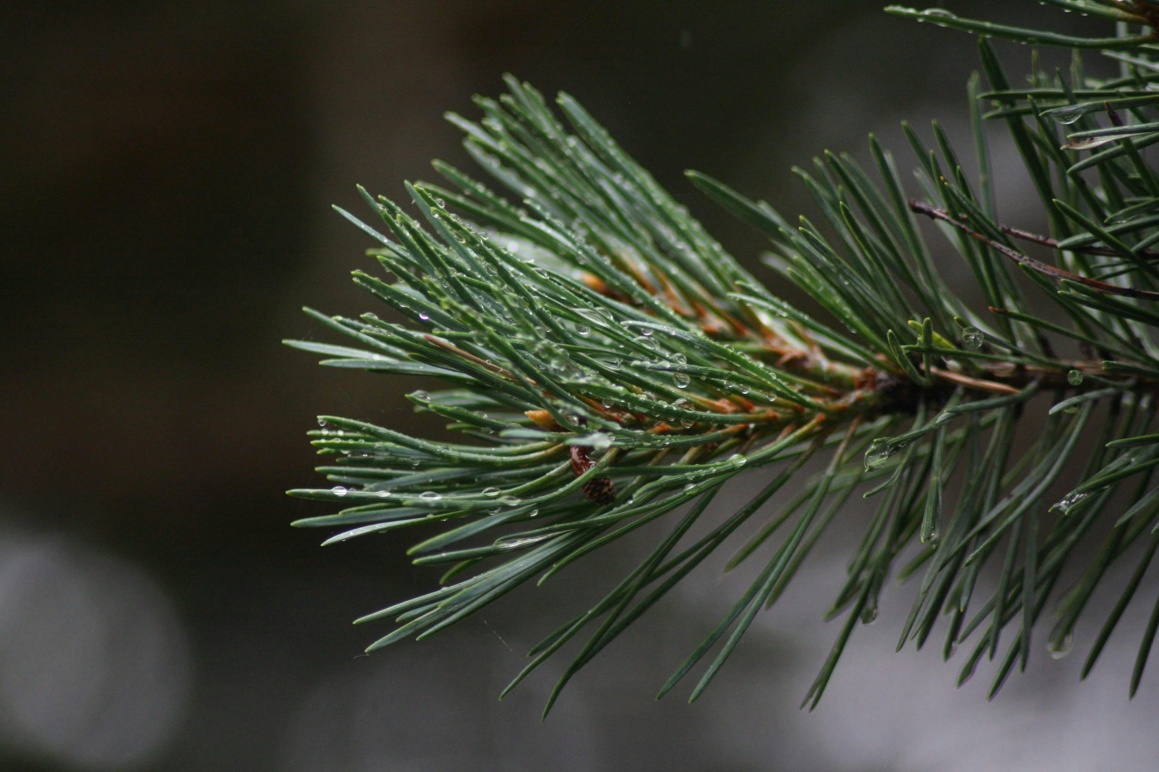 Photo by andersmellerup